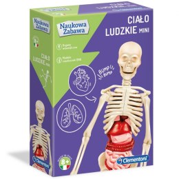 Ciało Ludzkie Anatomia Clementoni Clementoni