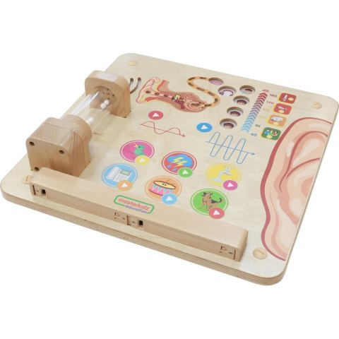 MASTERKIDZ Tablica Edukacyjna Zmysł Słuchu Masterkidz