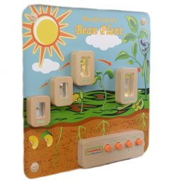 Cykl Życia Rośliny Tablica Edukacyjna Masterkidz Masterkidz