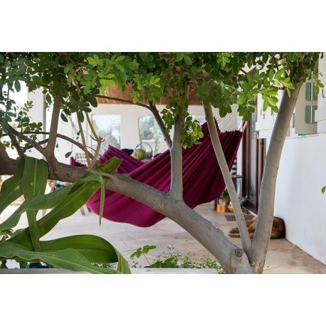 Hamak dwuosobowy arte vino 230x150cm Amazonas Hamak dwuosobowy arte vino 230x150cm Amazonas