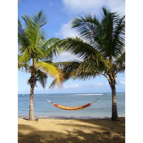 Hamak dwuosobowy barbados papaya 230x150cm Amazonas Hamak dwuosobowy barbados papaya 230x150cm Amazonas