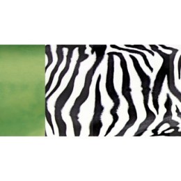 Huśtawka dziecięca - wiszący fotel hang mini zebra Amazonas