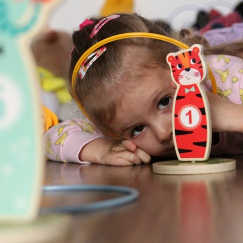 Tooky Toy Drewniana Gra Zręcznościowa Rzut do Celu Zwierzątka 15 el. Tooky Toy