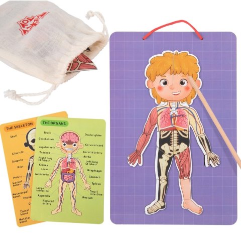 Tooky Toy Drewniane Puzzle Magnetyczne Nauka Anatomia Człowieka 78el. Tooky Toy