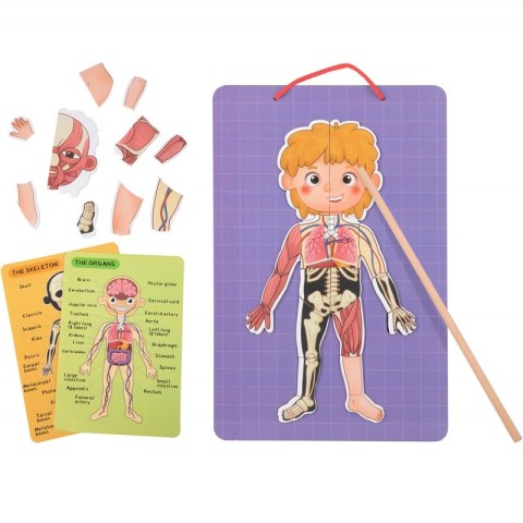 Tooky Toy Drewniane Puzzle Magnetyczne Nauka Anatomia Człowieka 78el. Tooky Toy Tooky Toy Drewniane Puzzle Magnetyczne Nauka Anatomia Człowieka 78el. Tooky Toy
