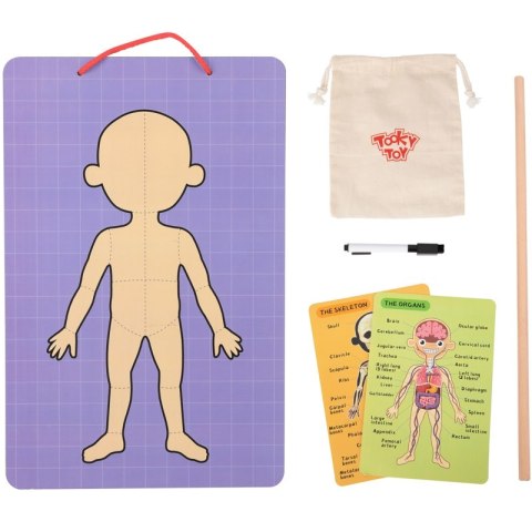 Tooky Toy Drewniane Puzzle Magnetyczne Nauka Anatomia Człowieka 78el. Tooky Toy Tooky Toy Drewniane Puzzle Magnetyczne Nauka Anatomia Człowieka 78el. Tooky Toy
