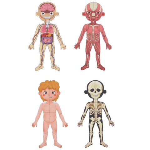 Tooky Toy Drewniane Puzzle Magnetyczne Nauka Anatomia Człowieka 78el. Tooky Toy Tooky Toy Drewniane Puzzle Magnetyczne Nauka Anatomia Człowieka 78el. Tooky Toy