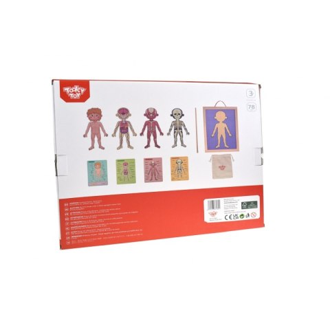 Tooky Toy Drewniane Puzzle Magnetyczne Nauka Anatomia Człowieka 78el. Tooky Toy Tooky Toy Drewniane Puzzle Magnetyczne Nauka Anatomia Człowieka 78el. Tooky Toy