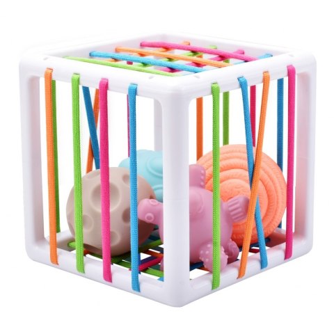 WOOPIE Elastyczna Kostka Sensoryczna Sorter dla Dzieci 5 el. Woopie WOOPIE Elastyczna Kostka Sensoryczna Sorter dla Dzieci 5 el. Woopie