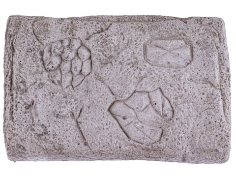 Wykopaliska Archeologiczne, Kopalnia Kryształów, Diamentów, Kamieni Wykopaliska Archeologiczne, Kopalnia Kryształów, Diamentów, Kamieni