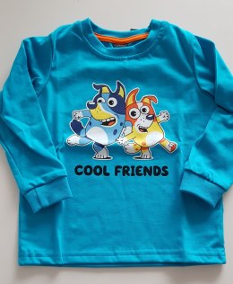 BLUZKA CHŁOPIĘCA COOL FRIENDS DR R.98-116 ŻAREK