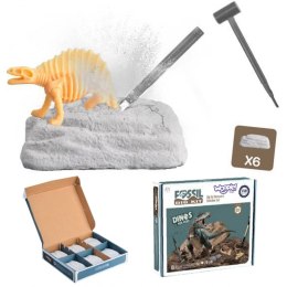WOOPIE Wykopalisko 6w1 Dinozaur Szkielet Mały Archeolog Woopie