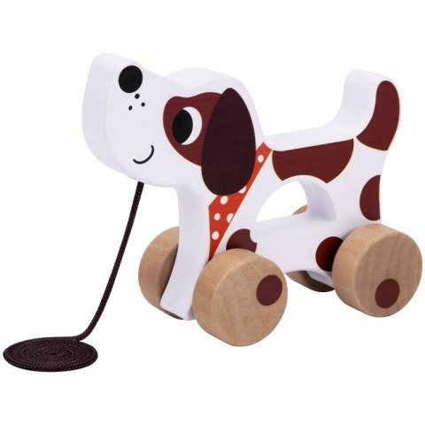 Tooky Toy Edukacyjne Pudełko dla Dzieci z 6w1 od 19 miesiąca Tooky Toy Tooky Toy Edukacyjne Pudełko dla Dzieci z 6w1 od 19 miesiąca Tooky Toy