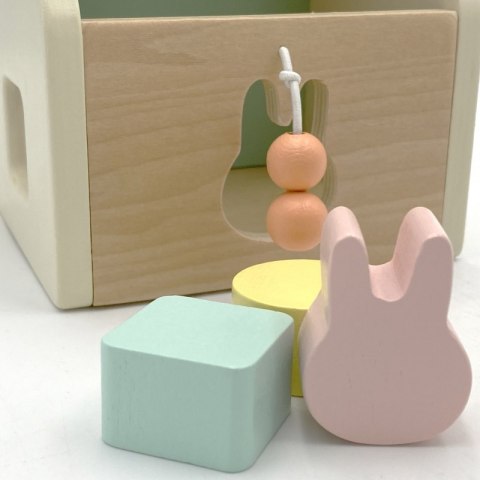 CLASSIC WORLD Pastelowy Zestaw Edukacyjny dla Dzieci Box od 12 do 18 miesiąca Classic World