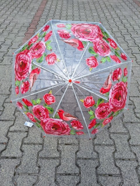 PARASOL DA154/LD20 PARASOL PARASOL DA154/LD20 PARASOL