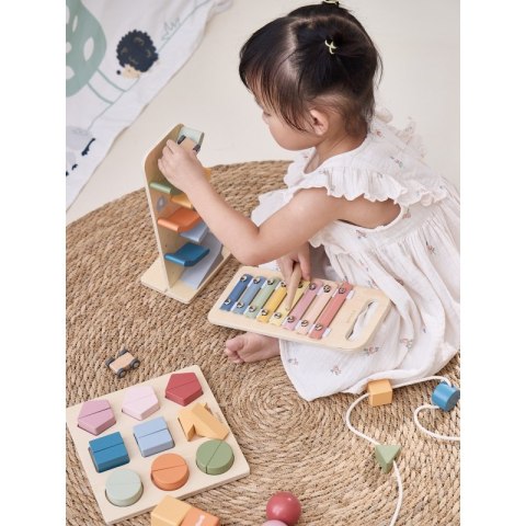 VIGA Zestaw Zabawek Edukacyjnych Pudełko Box od 18 miesiąca do 24 miesiąca Viga Toys VIGA Zestaw Zabawek Edukacyjnych Pudełko Box od 18 miesiąca do 24 miesiąca Viga Toys