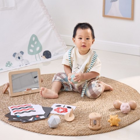 VIGA Zestaw Zabawek Edukacyjnych Pudełko Box od urodzenia do 6 miesiąca Viga Toys VIGA Zestaw Zabawek Edukacyjnych Pudełko Box od urodzenia do 6 miesiąca Viga Toys