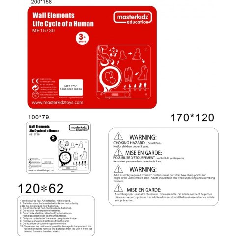 MASTERKIDZ Tablica Edukacyjna Cykl Życia Człowieka Masterkidz