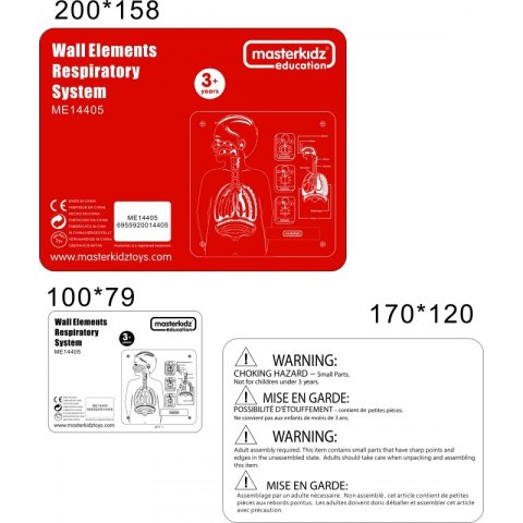 MASTERKIDZ Tablica Edukacyjna Układ Oddechowy Masterkidz