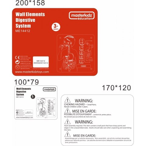 MASTERKIDZ Tablica Edukacyjna Układ Trawienny Masterkidz