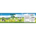 WOOPIE Zestaw Figurki Farma 14 el. Woopie WOOPIE Zestaw Figurki Farma 14 el. Woopie