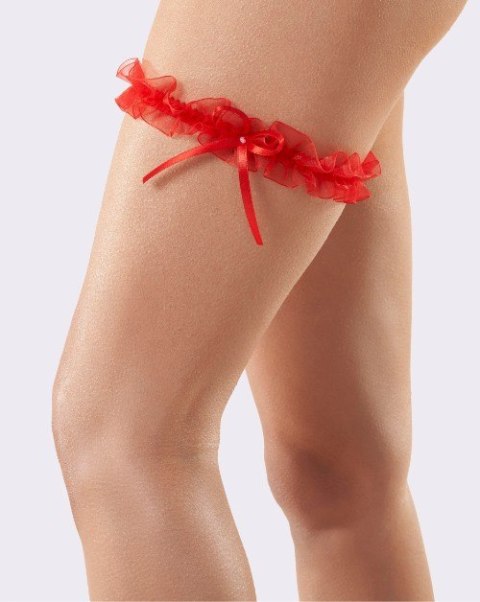 PODWIĄZKA ODESSA PW-02