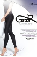 LEGGINGS MICROFIBRA 100 DEN LEGGINGS MICROFIBRA 100 DEN