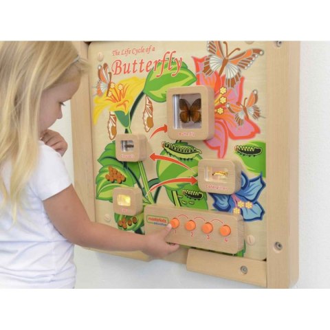 Cykl Życia Motylka Tablica Edukacyjna Masterkidz Masterkidz Cykl Życia Motylka Tablica Edukacyjna Masterkidz Masterkidz