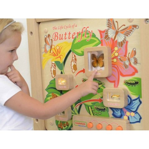 Cykl Życia Motylka Tablica Edukacyjna Masterkidz Masterkidz Cykl Życia Motylka Tablica Edukacyjna Masterkidz Masterkidz
