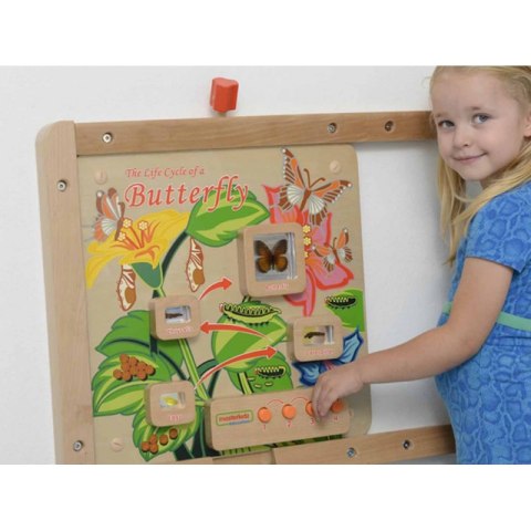 Cykl Życia Motylka Tablica Edukacyjna Masterkidz Masterkidz Cykl Życia Motylka Tablica Edukacyjna Masterkidz Masterkidz