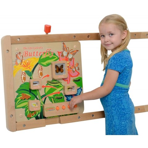 Cykl Życia Motylka Tablica Edukacyjna Masterkidz Masterkidz Cykl Życia Motylka Tablica Edukacyjna Masterkidz Masterkidz